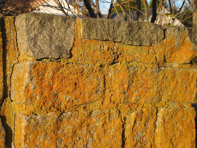 Rocks of Ages: Stone Walls